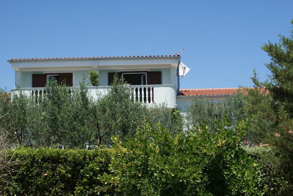 Apartments Jurjevic Petrčane Dış mekan fotoğraf