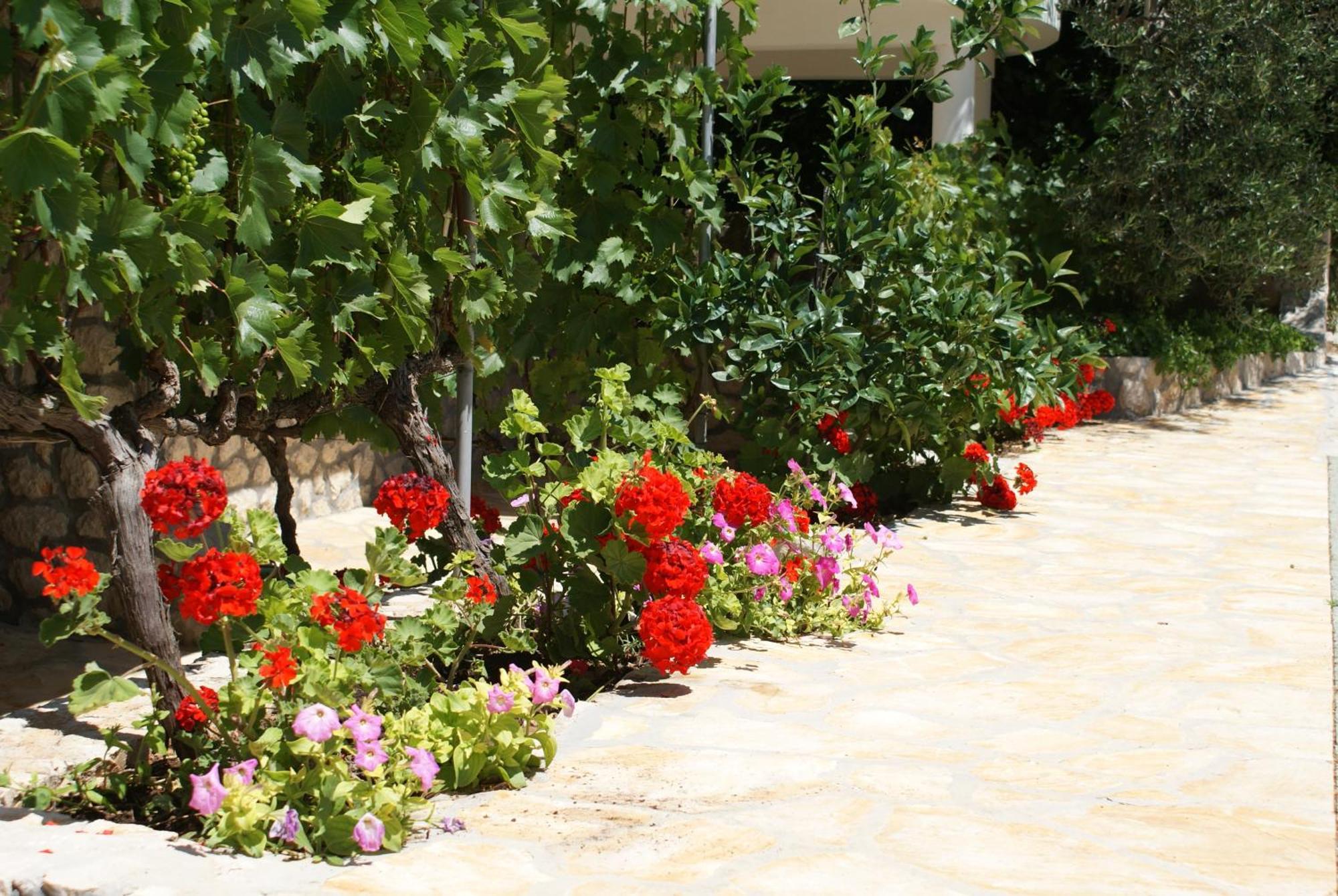 Apartments Jurjevic Petrčane Dış mekan fotoğraf